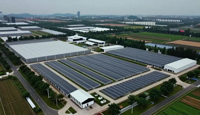 产业升级中的技术外包实践与问题应对
